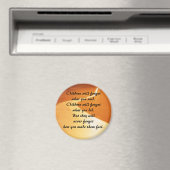 Nieuwe Oudermagneet Set 1 van 5 (verbeterd) Magneet (Insitu (Vaatwasser))