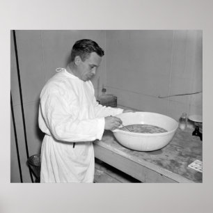 Nieuwe partij pneumonievaccin: 1937 poster