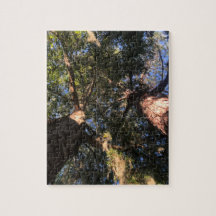 Nieuwe perspectieven