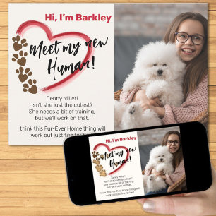 Nieuwe Pet Adoption Aankondiging