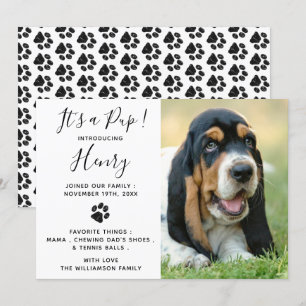 Nieuwe Pet Dog Puppy kondiging Kaart