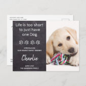 Nieuwe Pet Nieuwe Puppy Douche Uitnodiging (Voorkant / Achterkant)