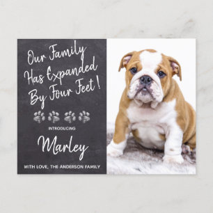 Nieuwe Pet Puppy Hondendouche Uitnodiging
