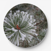 Nieuwe pinnen papieren bordje (Voorkant)