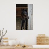 Nieuwe Pony/paard Poster (Keuken)