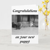 Nieuwe pop kaart (Gele Bloem)