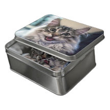 Nieuwe productlancering