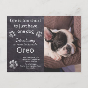 Nieuwe Puppy- Dog Foto Chalkboard Puppy Announance Briefkaart