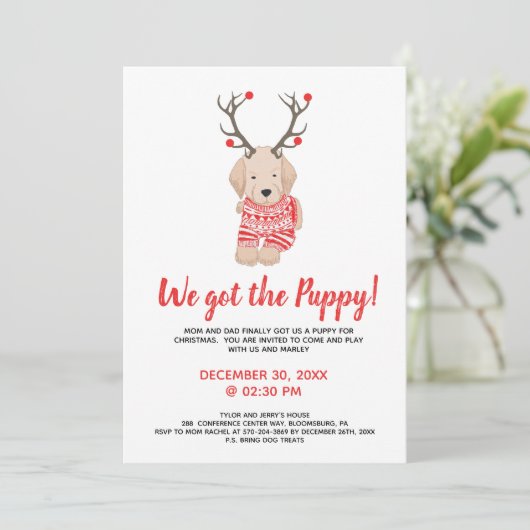 Nieuwe Puppy Kerst Kinderfeest Speelafspraak Kaart (Staand voorkant)