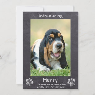 Nieuwe puppy - Maak kennis met Puppy Dog Chalkboar Aankondiging
