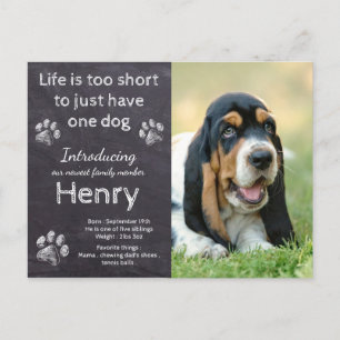 Nieuwe puppy - Rustic Pet Dog Photo Chalkboard Pup Aankondigingskaart