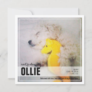 Nieuwe Puppy-toepassing Aankondiging van pet