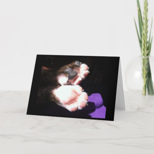 Nieuwe puppypoten kaart (Voorkant)