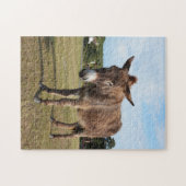 Nieuwe puzzel voor bosezelpuzzel (Horizontaal)