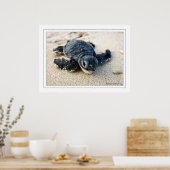 Nieuwe schildpad poster (Keuken)