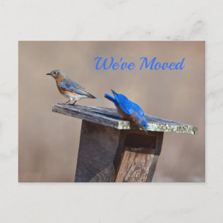 Nieuwe startaankondiging aankondigingskaart