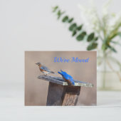 Nieuwe startaankondiging aankondigingskaart (Staand voorkant)