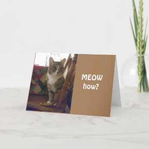 NIEUWE TEENAGERTURNEN ***13** KAART