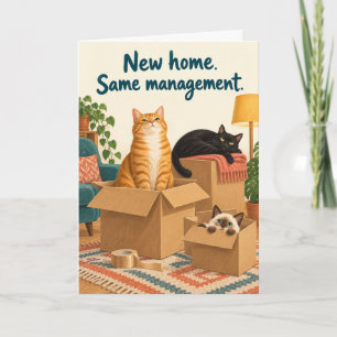 Nieuwe Thuis Dezelfde Beheer Grappige Katten Kaart