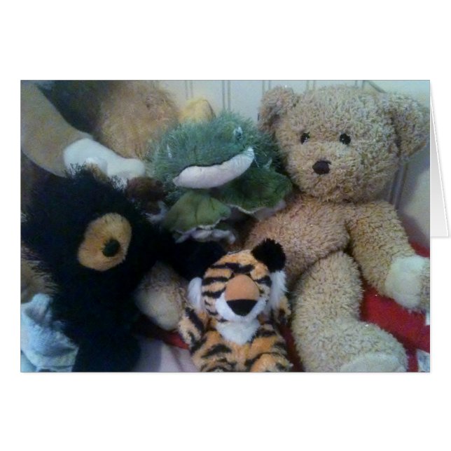 NIEUWE TOEVOEGING AAN UW GEZIN (Voorkant Horizontaal)