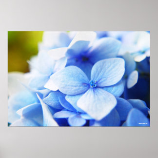 Nieuwe vervagen poster