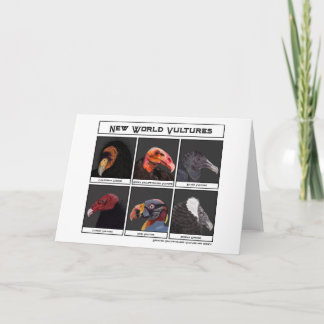 Nieuwe World Vultures Illustratie Kaart