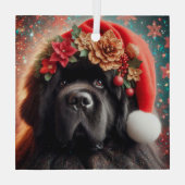 Nieuwf in Fancy Santa Hat Glas Ornament (Achterkant)