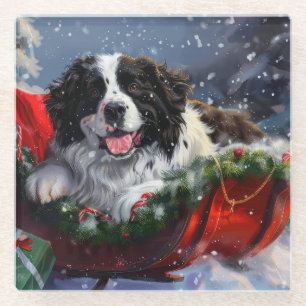 Nieuwfoundlandse Hond Kerst Festiviteit Glazen Onderzetter