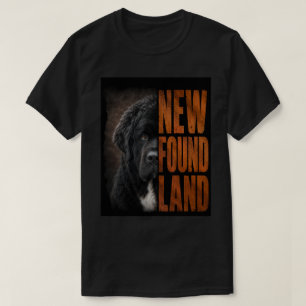 Nieuwgevonden Land T-shirt