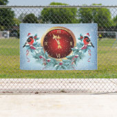 Nieuwjaar banner (Insitu)