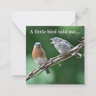 Nieuwsbriefkaart Notitiekaartje