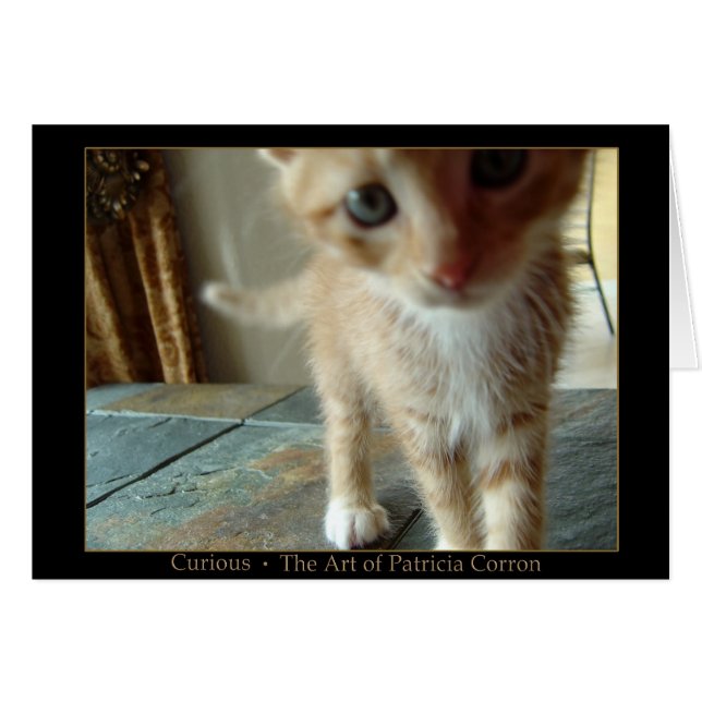 nieuwsgierig (Voorkant Horizontaal)