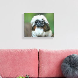 Nieuwsgierig aap canvas afdruk