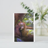 Nieuwsgierig baby orang-oetan in armen van moeders briefkaart (Staand voorkant)