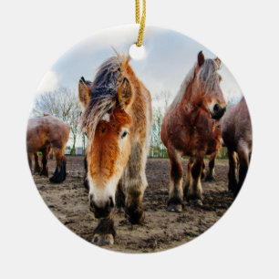Nieuwsgierig Belgisch conceptpaard van hieronder Keramisch Ornament