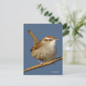 Nieuwsgierig Bewick's Wren Songbird op Branch Briefkaart (Staand voorkant)