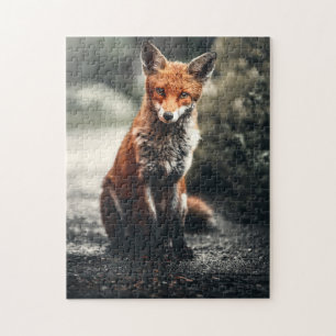 Nieuwsgierig Big Red en White Fox in Natuur Legpuzzel