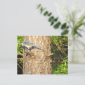 Nieuwsgierig Blue Jay Briefkaart (Staand voorkant)