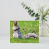 Nieuwsgierig Briefkaart (Staand voorkant)