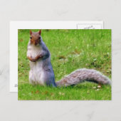 Nieuwsgierig Briefkaart (Voorkant / Achterkant)