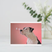 nieuwsgierig briefkaart (Staand voorkant)