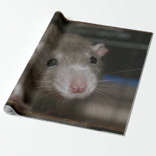 nieuwsgierig cadeaupapier