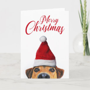 Nieuwsgierig Cute Funny Dog met Santa Hat Kaart