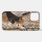 Nieuwsgierig Deer in de Bossen Case-Mate iPhone Case (Achterkant (horizontaal))
