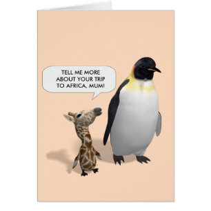 Nieuwsgierig Giraffe Baby