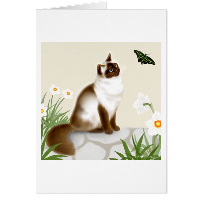 Nieuwsgierig Himalayan Cat (Voorkant)