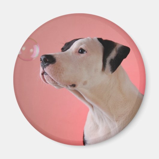 Nieuwsgierig jong magneet (Voorkant)