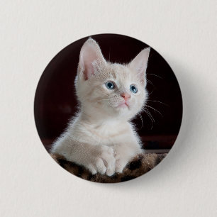 nieuwsgierig kat ronde button 5,7 cm