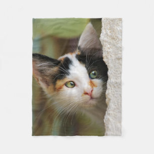 Nieuwsgierig kattenkeuken met printogen - fleece deken