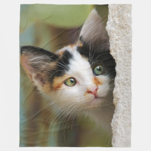 Nieuwsgierig kattenkeuken met printogen - fleece deken